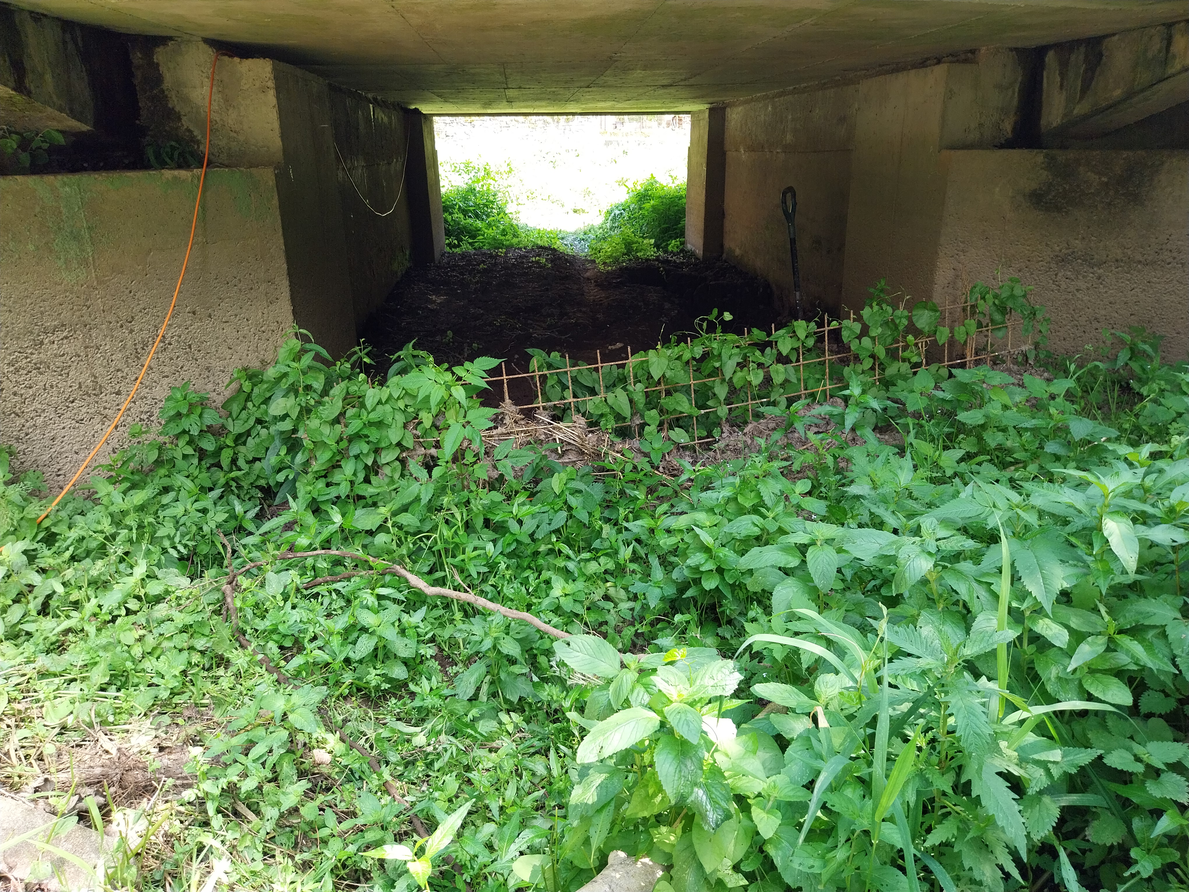 Bief avant travaux